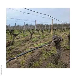 Câble antigel vignes HEATCOM 610W 33m protection bourgeons gelées