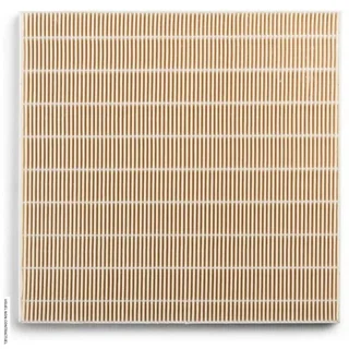 HEPA Filter TTR 57 E TROTEC - Dehumidifier Replacement