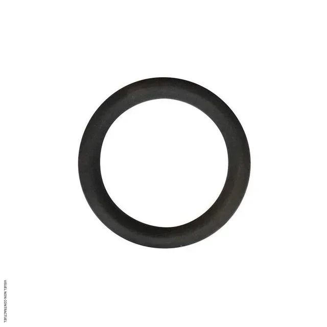 Guarnizione rubinetto Viton DN 15 liquidi aggressivi CEMO