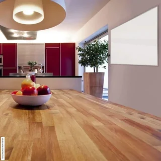 Panneau infrarouge 1100W TIH 1100 S Trotec - chauffage rayonnant mural 1205x905mm