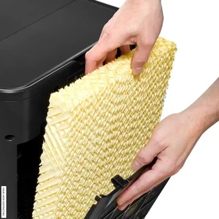 Rafraîchisseur d'air Trotec PAE 80 - 60L - 4 vitesses - Noir mat