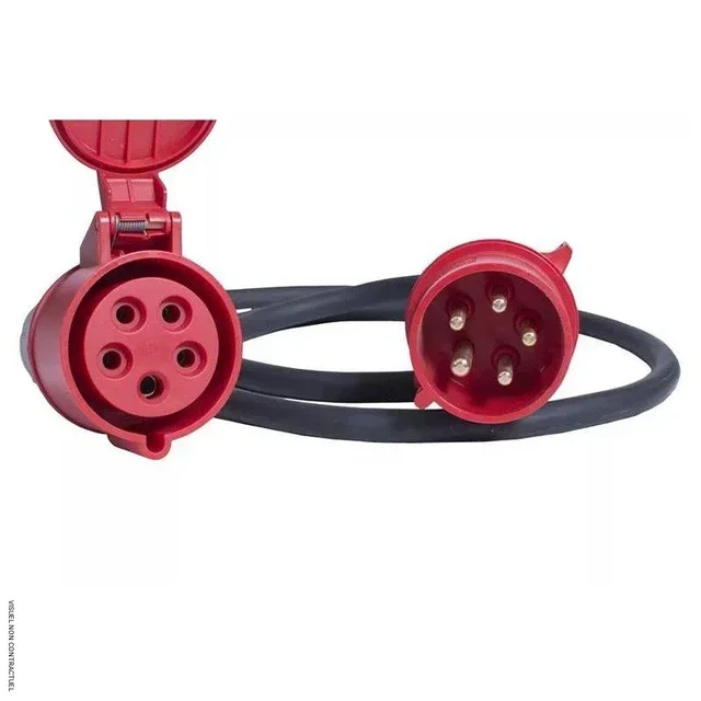 Rallonge électrique triphasée 3x400V 32A 2m 5x6mm² Inelco professionnelle