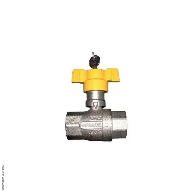 Vanne 1/4 tour à clé 1 pouce CEMO - Robinet industriel fluide