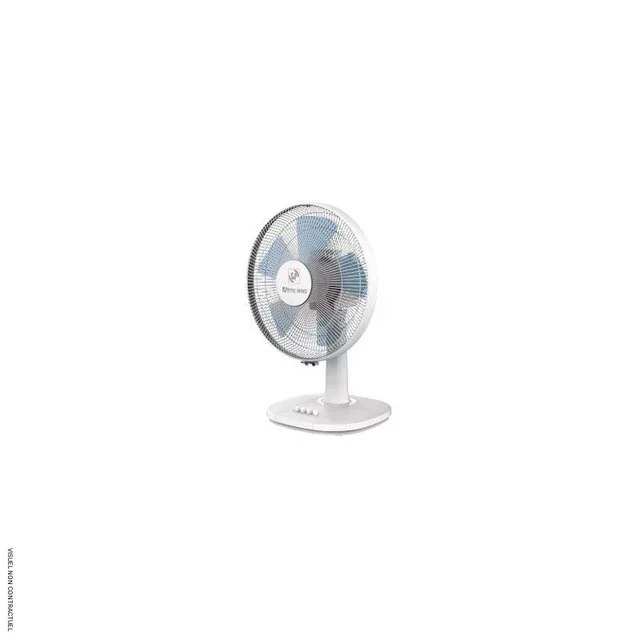 Ventilateur de table ARTIC WIND 250 S&P 3 vitesses silencieux oscillant